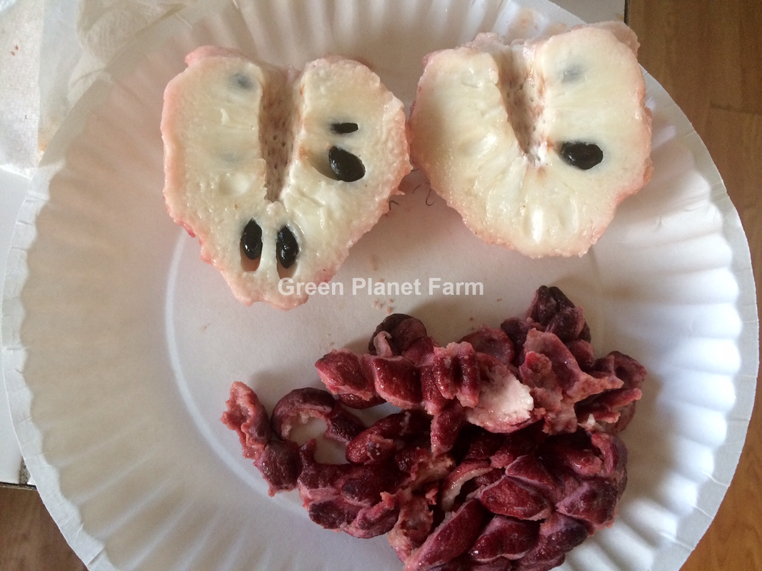 split with matermark