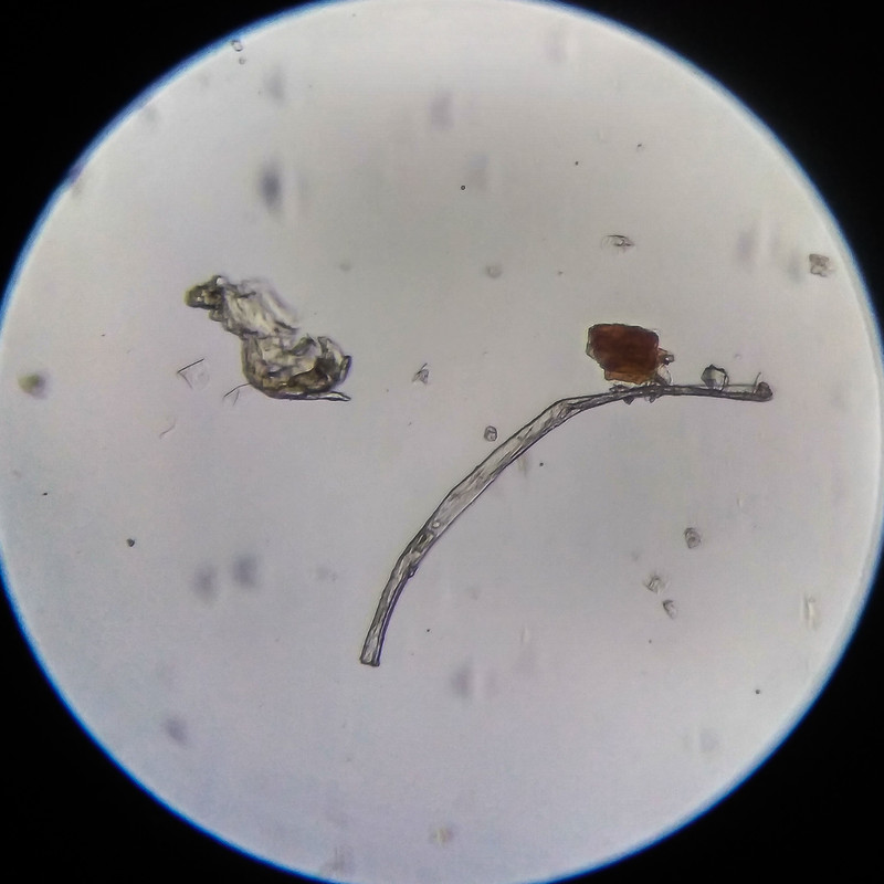 IMG 20250614 205430 HDR