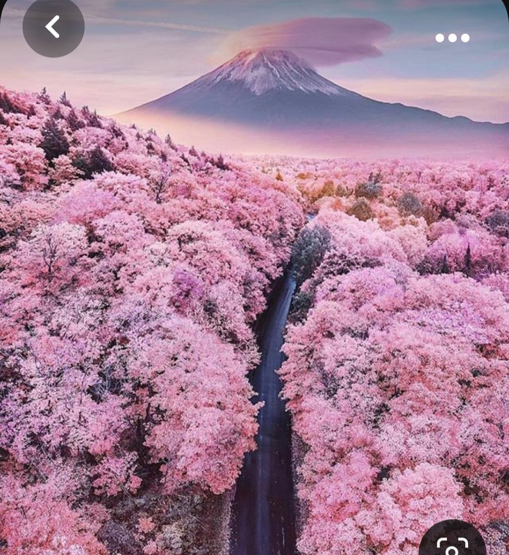 Screenshot_20231011_134742_Pinterest