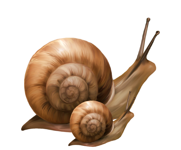 TADD_elements_ShimmerFall (102)