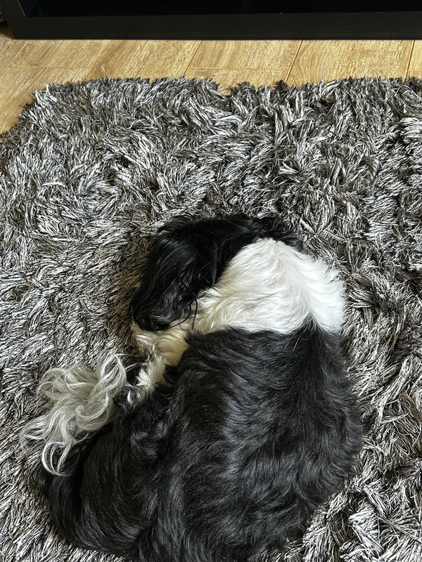 Descrição da imagem