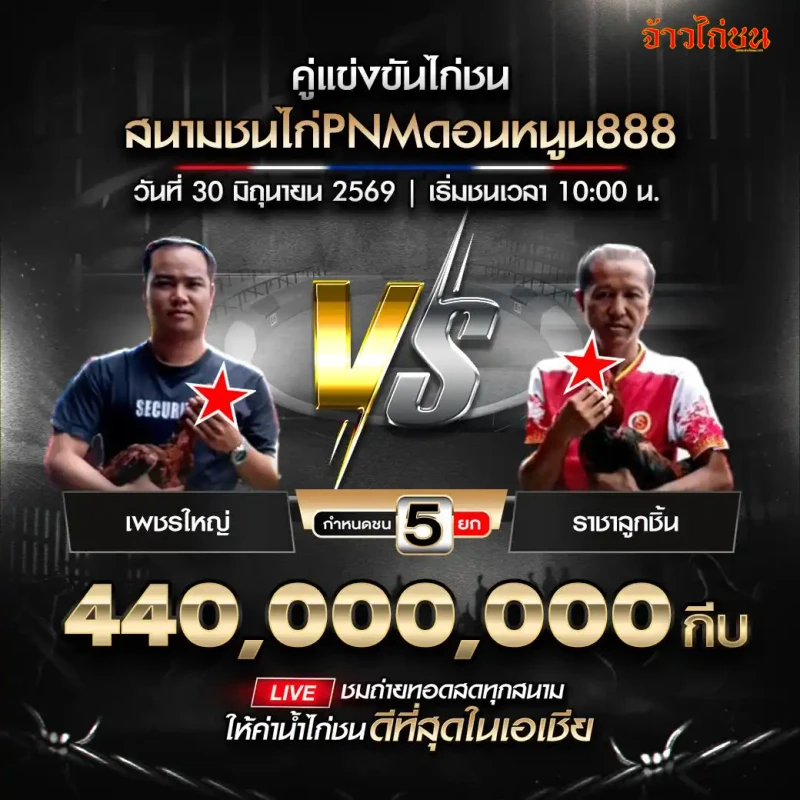 โปรแกรมไก่ชน สนามชนไก่PNMดอนหนูน888 เพชรใหญ่ vs ราชาลูกชิ้น วันอังคารที่ 30 มิถุนายน