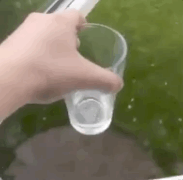 Fails-1