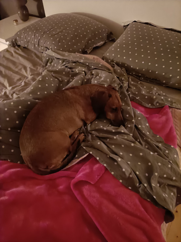 [Image: IMG20210930080218.jpg]