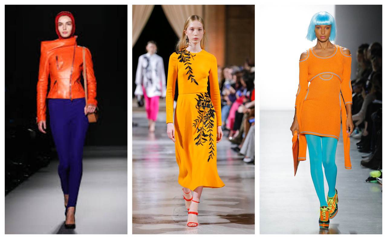 color trends
