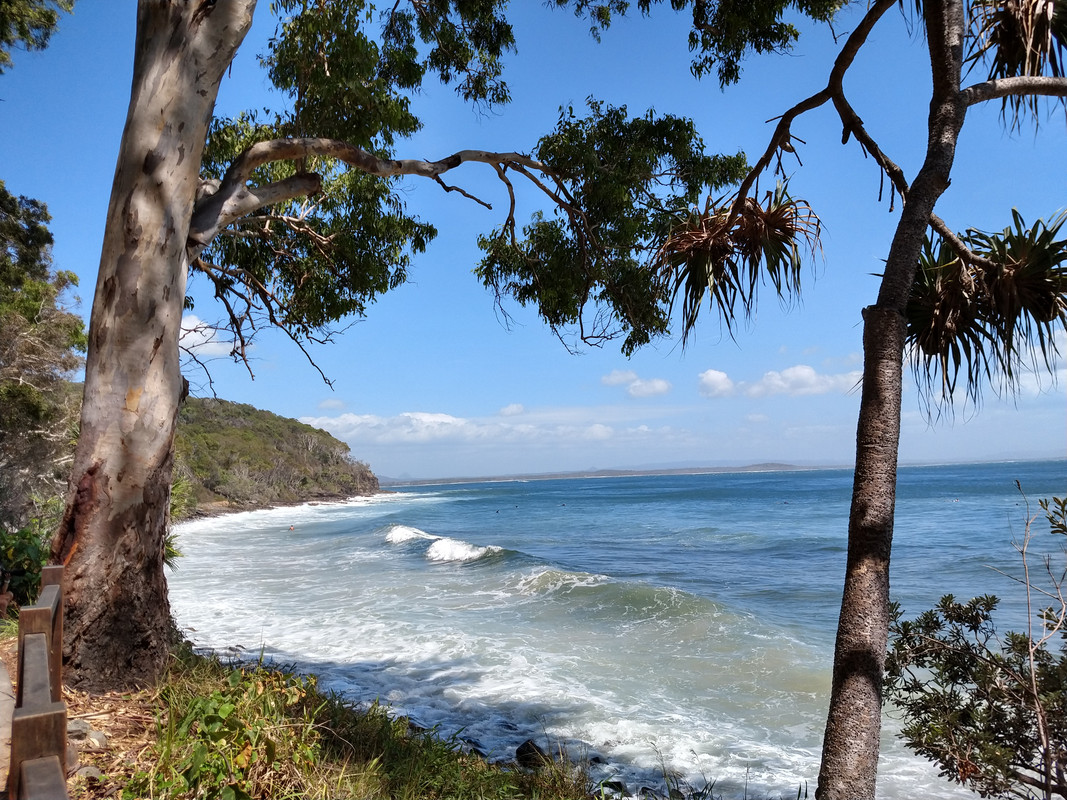 NOOSA - BRISBANE - AIRLIE BEACH - AUSTRALIA , "QUE GRAN PAIS" (3)