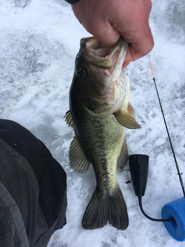 6F38412E-3275-45AB-B642-BBC690A0B8BD