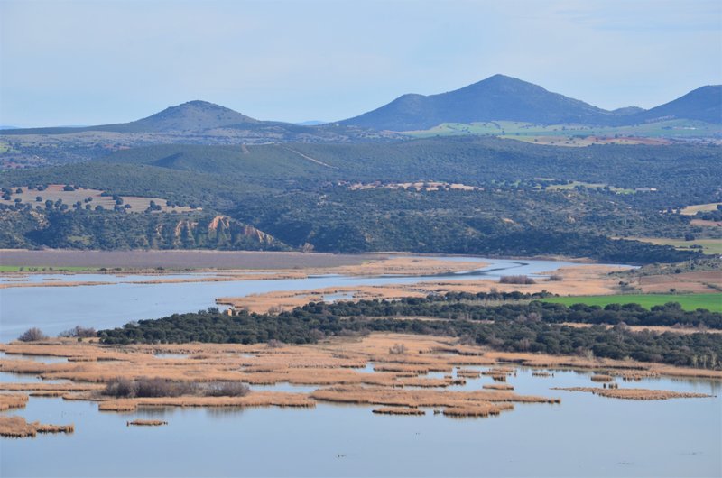 BARRANCAS DE BURUJON-8-3-2015-TOLEDO - Paseando por España-1991/2015-Parte-1 (10)