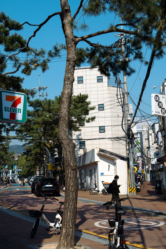 korea2024LRexport-50