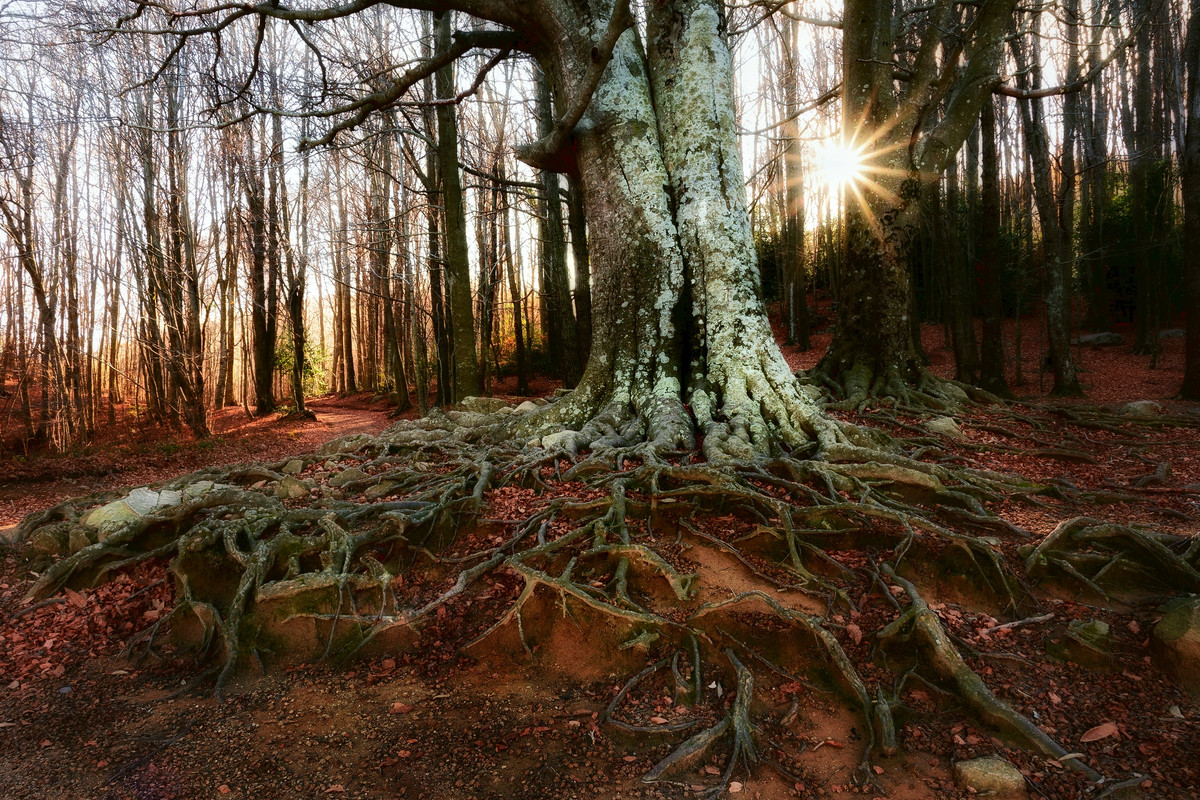 2020-12-12_08-23-09-01