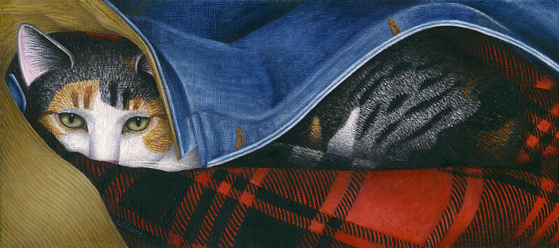 17-cat-in-denim-jacket-carol-wilson