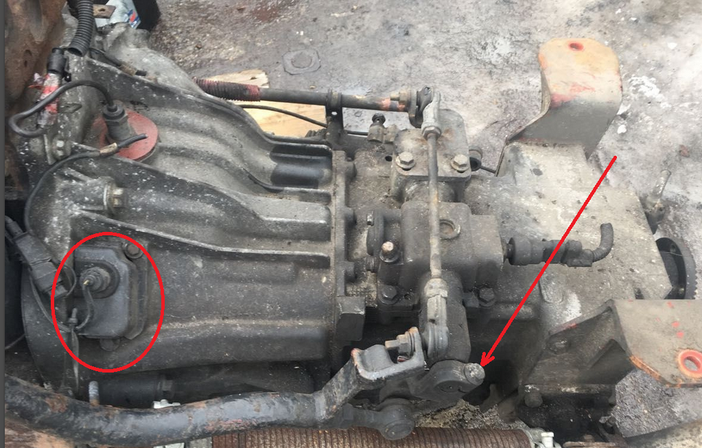 Новый точечный рисунок