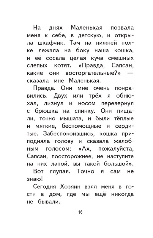 Kuprin-Aleksandr-Sapsan-2019-page-0017