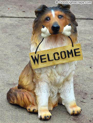 welcome-26.jpg