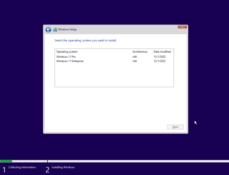 Windows 11 Pro & Enterprise Insider Preview Build 22621.1020 x64 Pre-Activated (No TPM Required) December 2022
