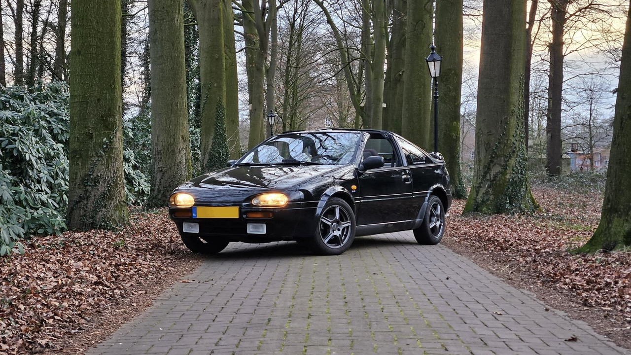 Afbeelding van WhatsApp op 2025-05-08 om 21.33.13_6e608221