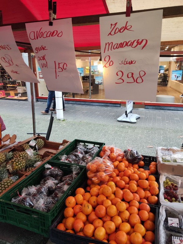 IMG_20231216_224047_436