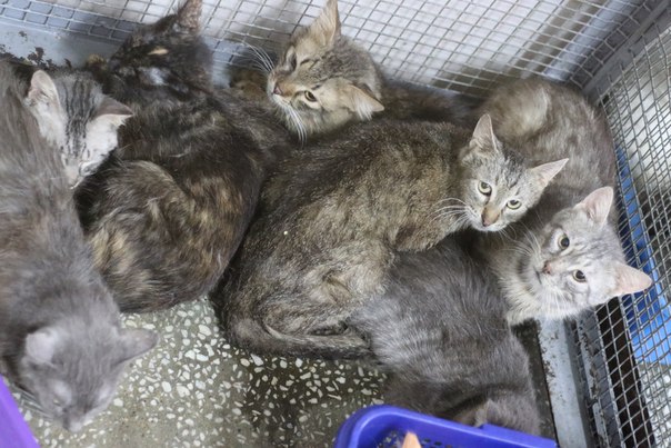 EC95188D-D3F7-4A20-9C2C-C51B33F05767