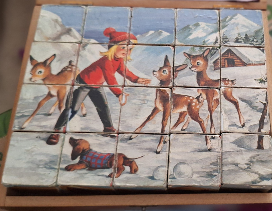 [Image: 20250608-181556.jpg]