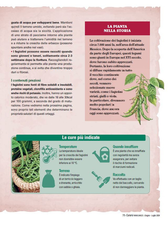 Cur Mang Giu-Lug 2024 (8)