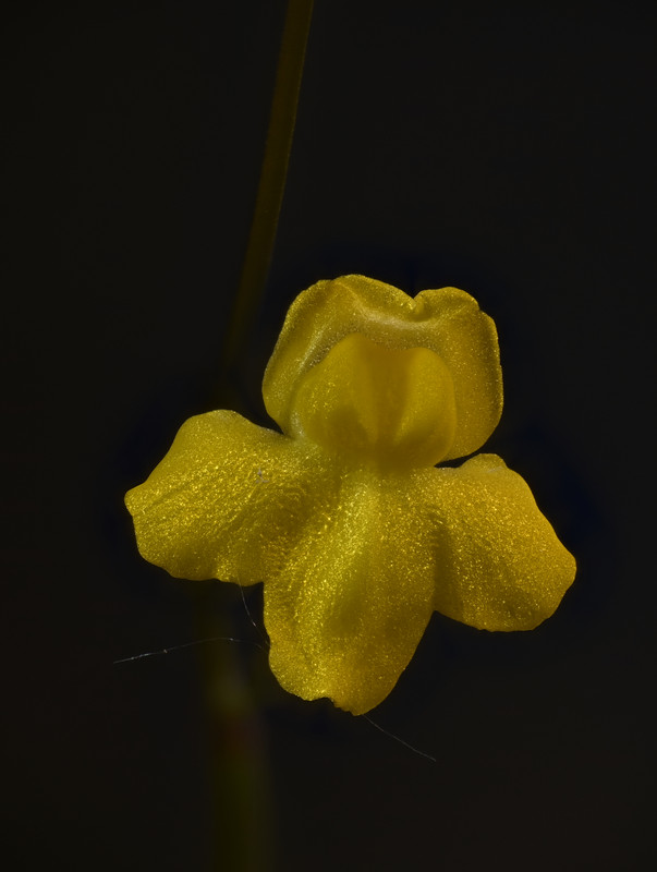 2023-05-09 18-52-12 (C,S3)_crop