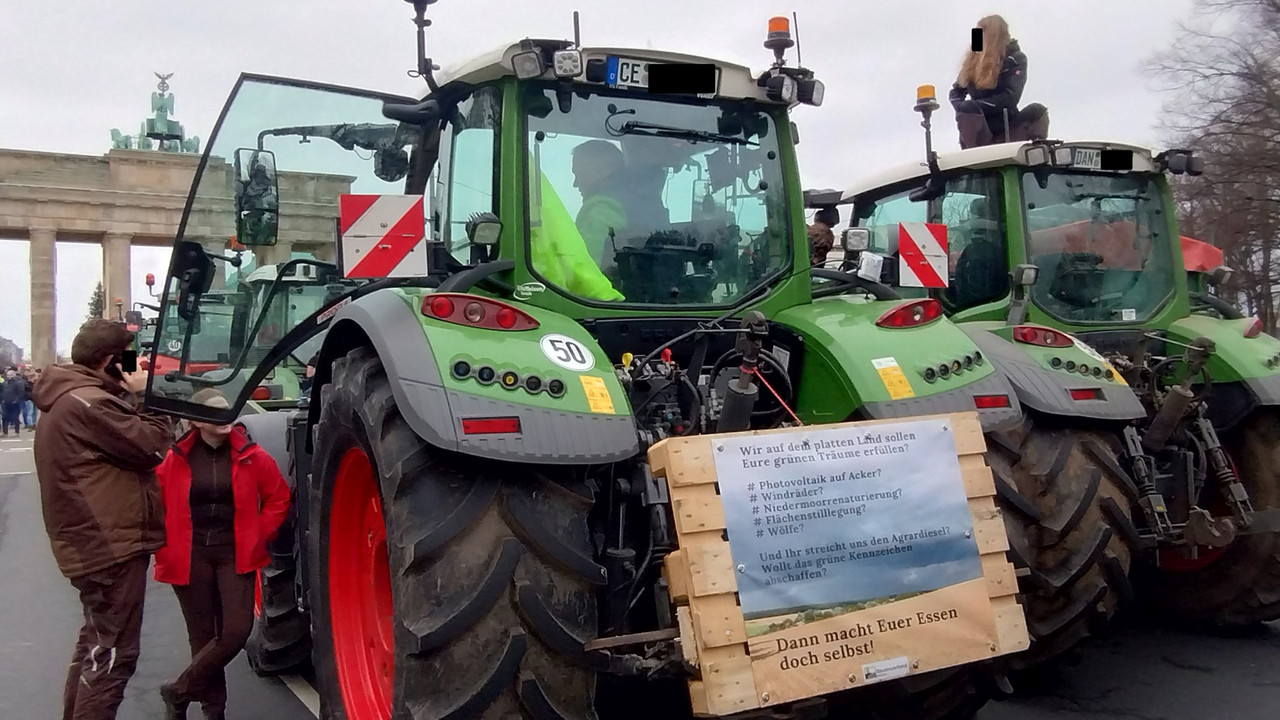 231218_grüne Träume