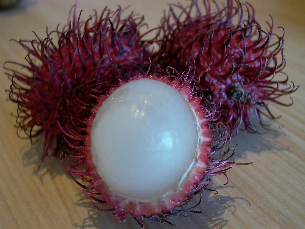 rambutan2
