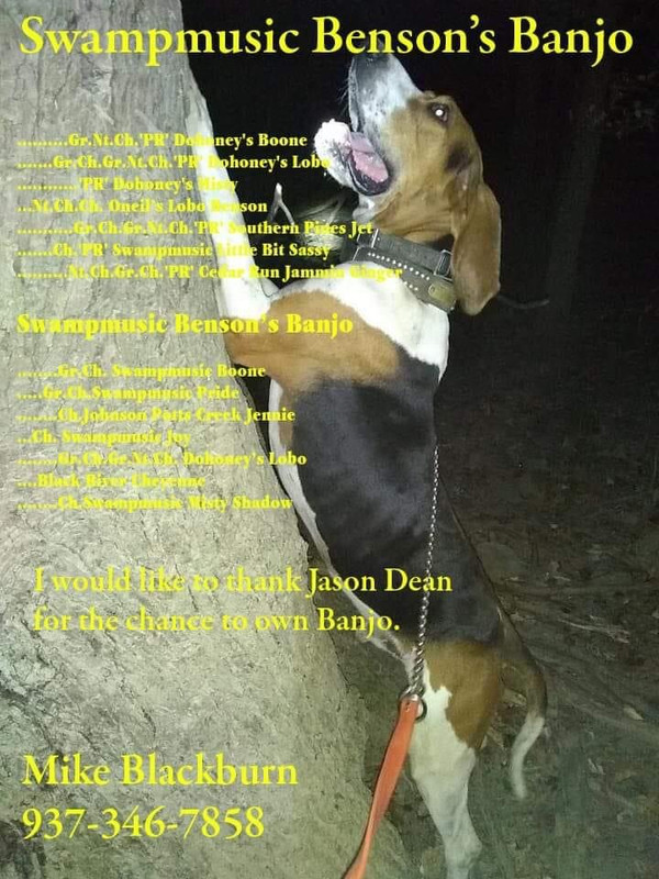 603BB072-8AA9-4E42-B704-13C51EE57989