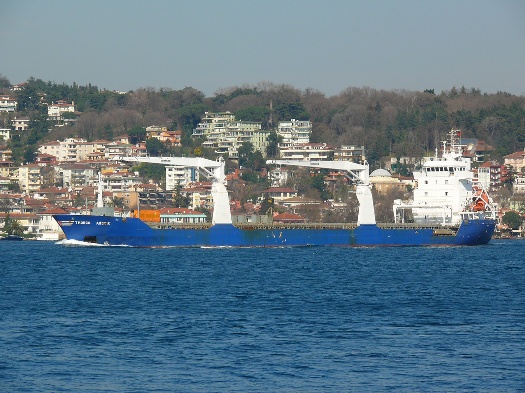 Thorco Arctic (OK-130214-1)