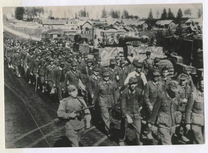 3gn52b340a57d6f1_1024 (1)