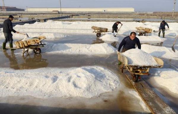 Image result for salt factory
