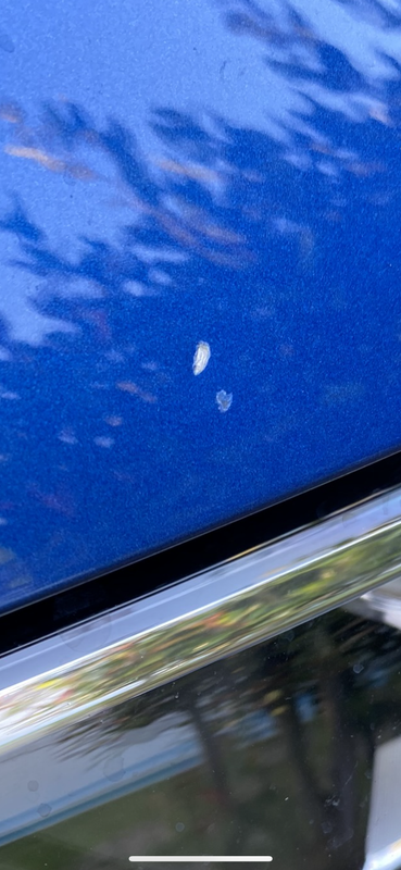 71E64842-1584-435C-8581-A0AB0872ED2D