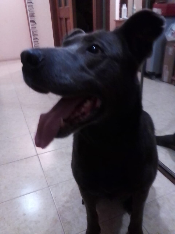 4936C954-A32D-4FEB-B1AE-87D810E90993