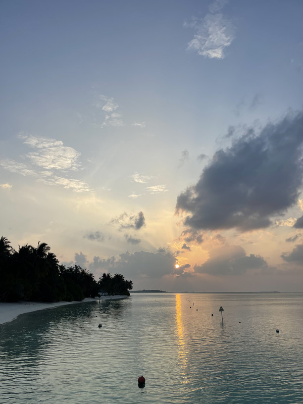 F017E042-5FE5-4A5E-BCF7-12C5A352C98C