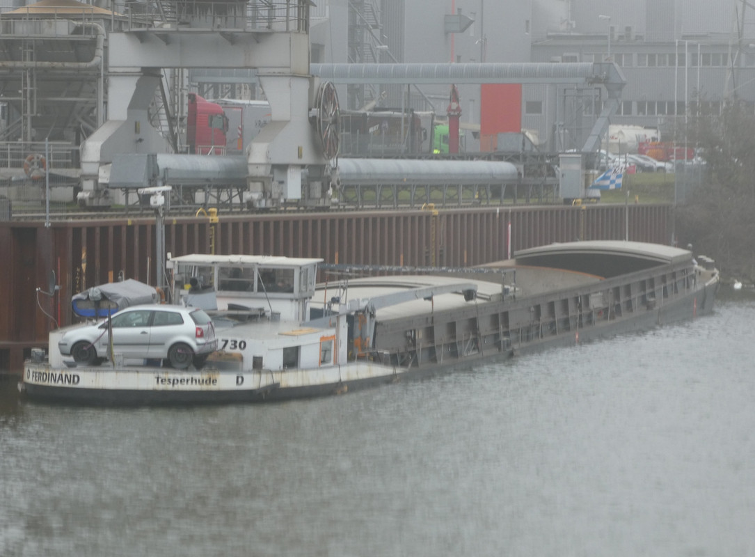 2021.03.01f Ferdinand