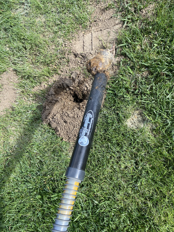 DA63BB65-4909-4359-AB07-0D69609B4B13