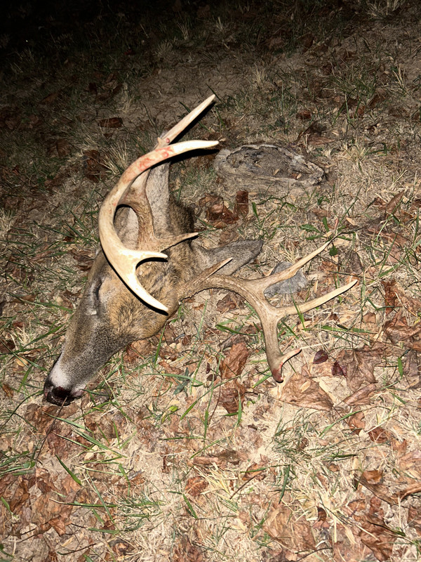 BD4E7387-4043-4A40-AD21-97842F283C6D