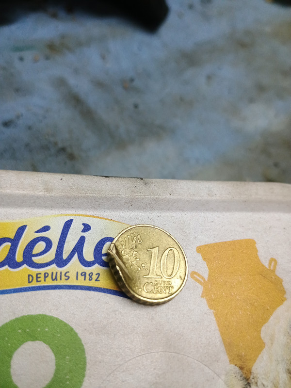 17662546114005565487089364256763