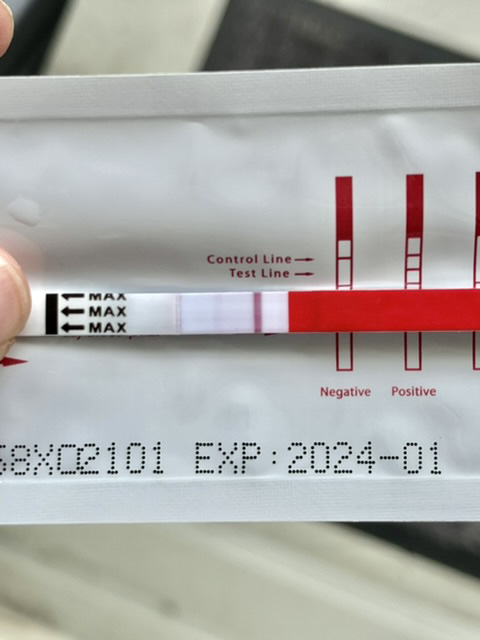 D4AF7B87-F6EB-4456-A94C-73251A4501D2