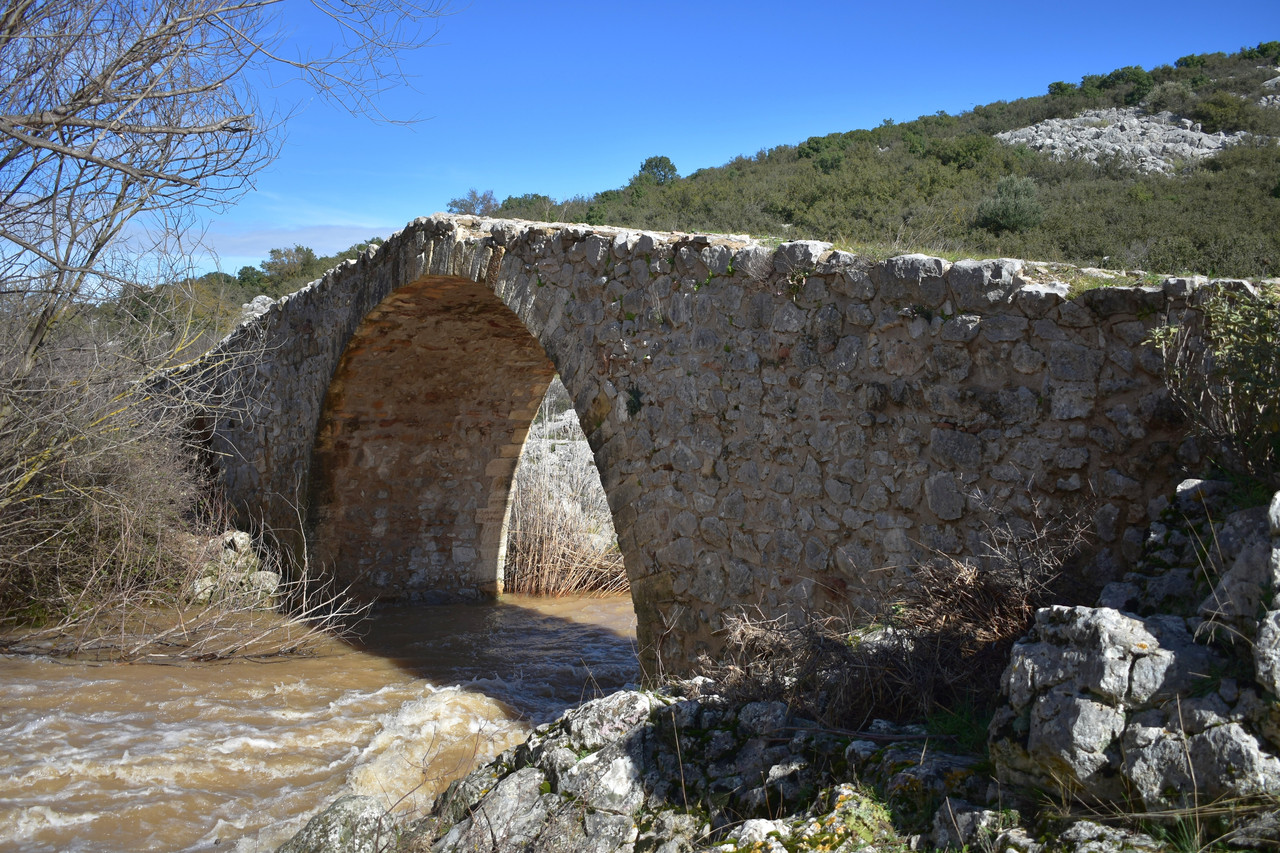 Πέτρινο γεφύρι Δαφνούλας (10)