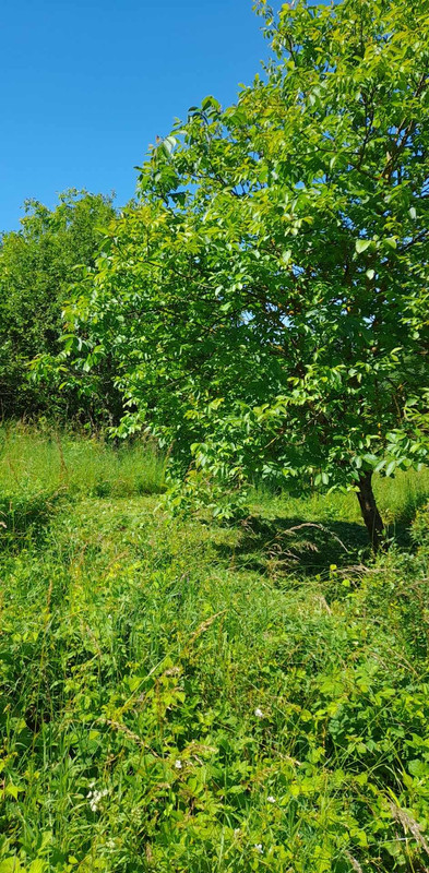 Messenger_creation_075da43a-301a-4871-b249-d8bbce420eee