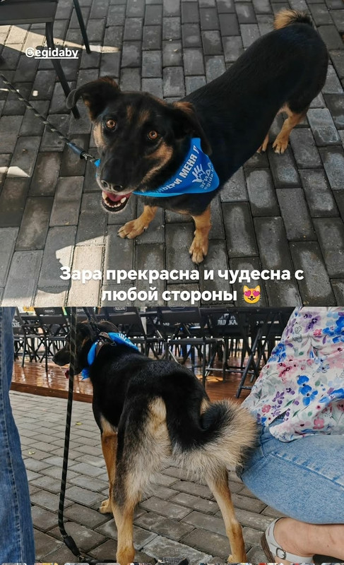 Fl RKgiwx Ye6ey Azj Zc Fe3e Lig Srh Jf QQJLGCgn HXjo01Ws VPub NF6MJL8m J8s Vt R50vfm Fg WLYj Djr JW 