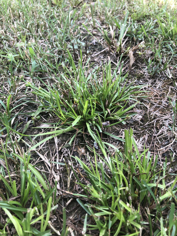 EF88A27A-3695-4BA9-8400-2E14495D9BCE