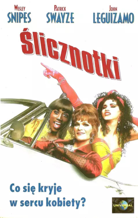Ślicznotki - To Wong Foo, Thanks for Everything, Julie Newmar (1995) PL.1080p.BluRay.H265-FT / Lektor PL