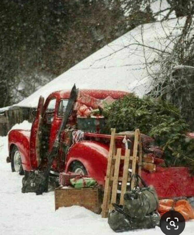 Screenshot_20231102_134447_Pinterest