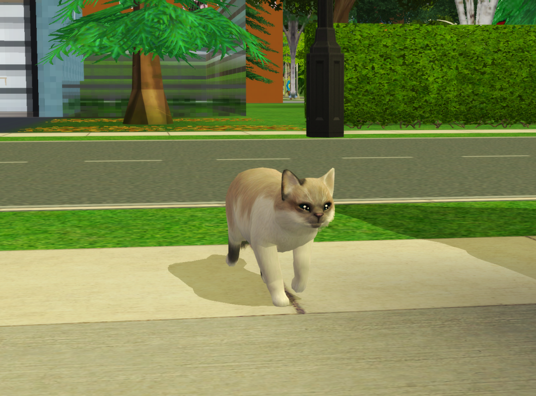 Sims2-EP9-RPC-2023-06-03-22-52-46-56