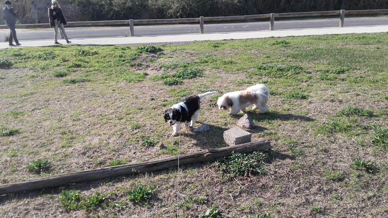 294D7AF4-E486-4289-BBD6-3738D7E73A57