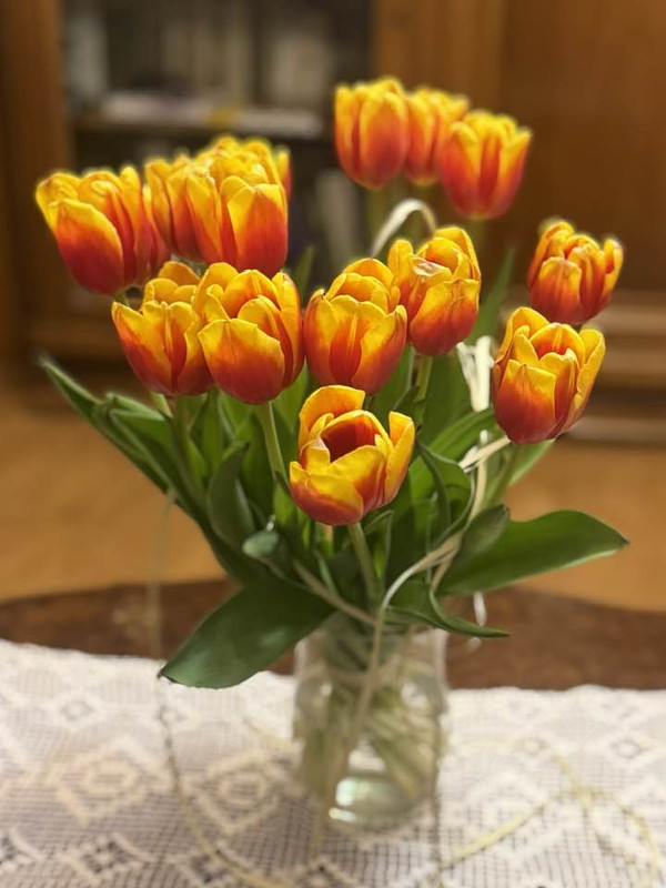 649848417-27060666640189372-1144661900810324174-n