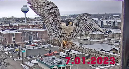 UW Oshkosh Peregrine Przechwytywanie-w-trybie-pe-noekranowym-07-01-2023-004553