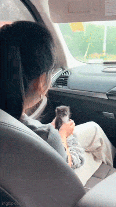 755.gif